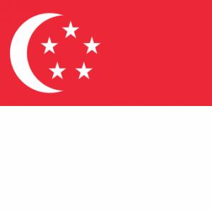 Singapore Company Registration