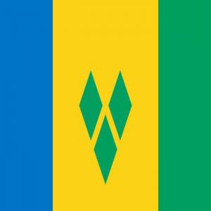 Saint Vincent and the Grenadines Company