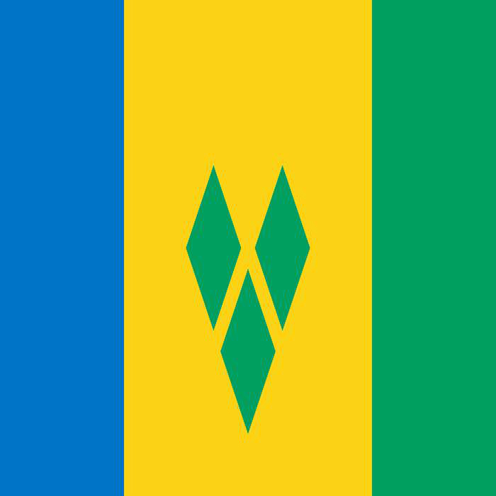 Saint Vincent and the Grenadines Company
