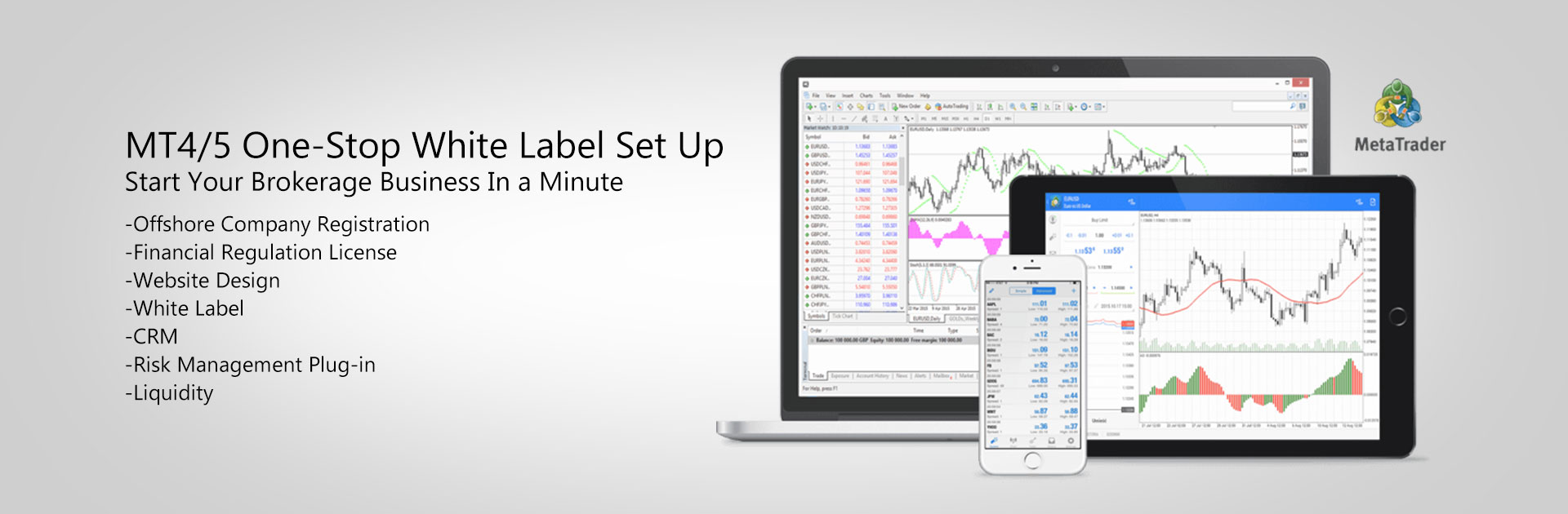 Forex turnkey solution