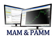 forex pamm return offer